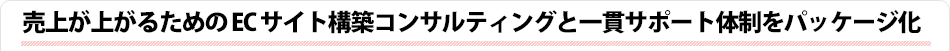 売上が上がるためのECサイト構築コンサルティングと一貫サポート体制をパッケージ化