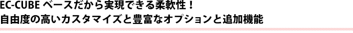 EC-CUBEベースだから実現できる柔軟性！自由度の高いカスタマイズと豊富なオプションと追加機能